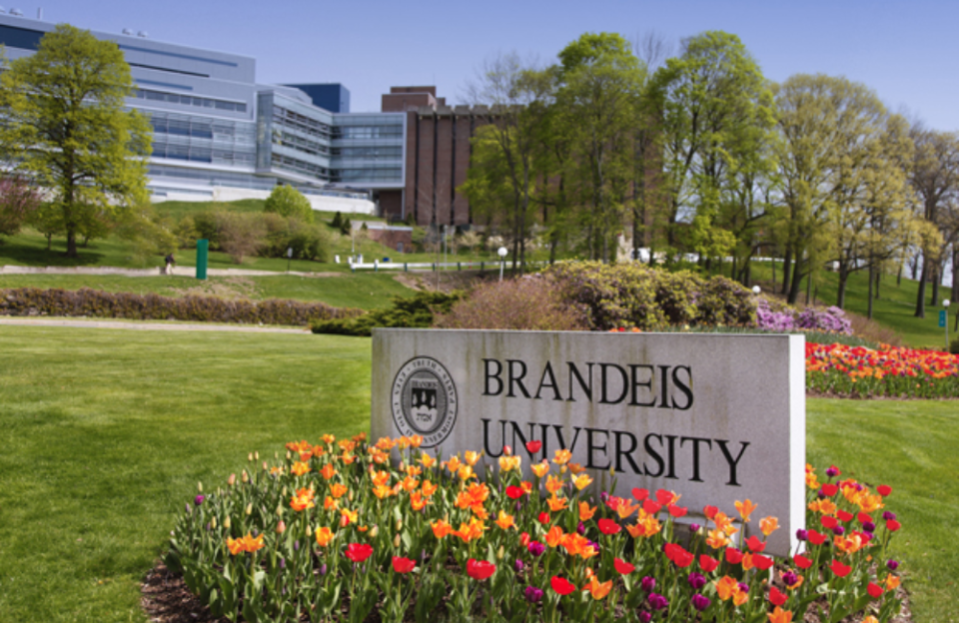 Brandeis International Business School