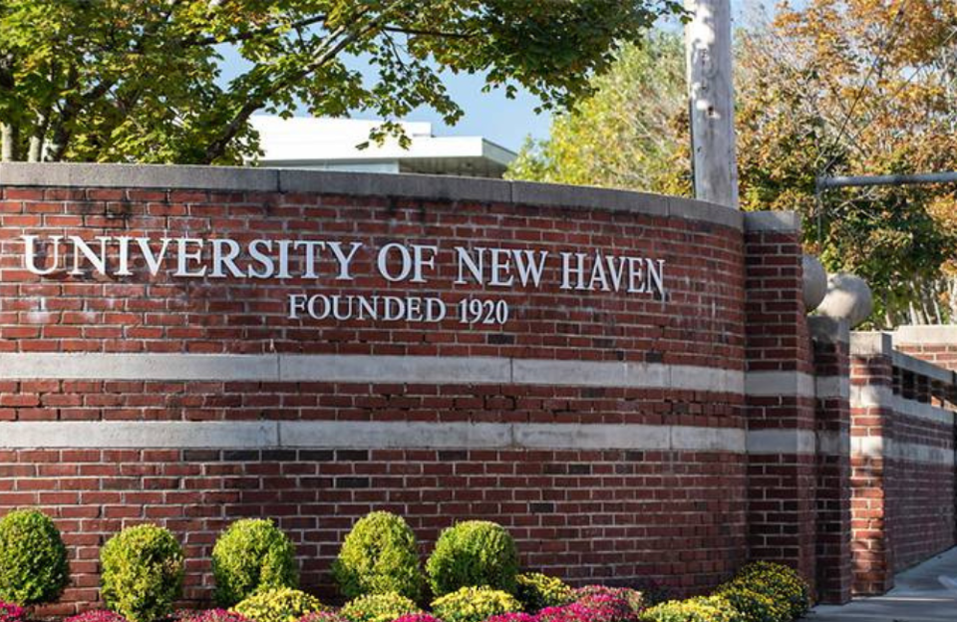 University of New Haven