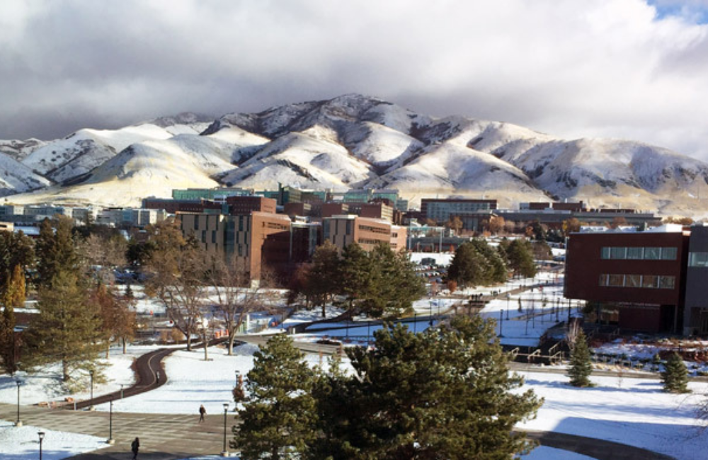 The University of Utah